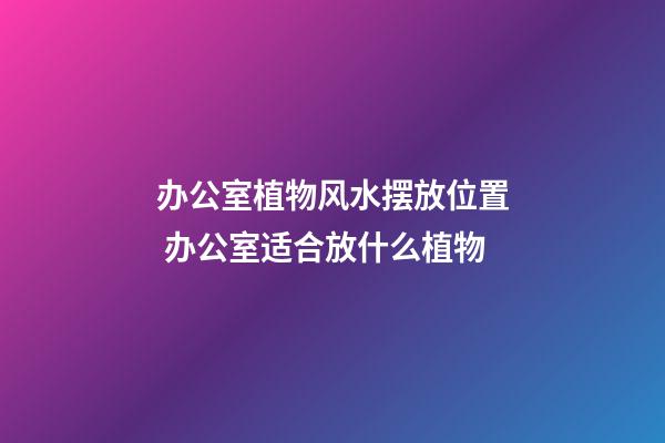 办公室植物风水摆放位置 办公室适合放什么植物